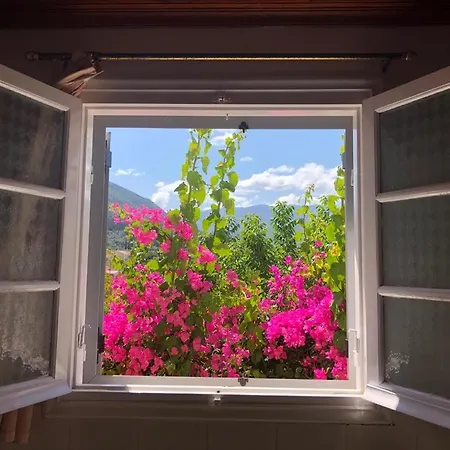 Tilde On The Beach, Apts - Kefalonia Apartmán